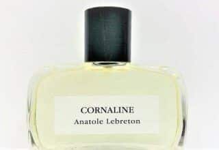 Proyecto Perfumista descubre el proximo Anatole Lebreton