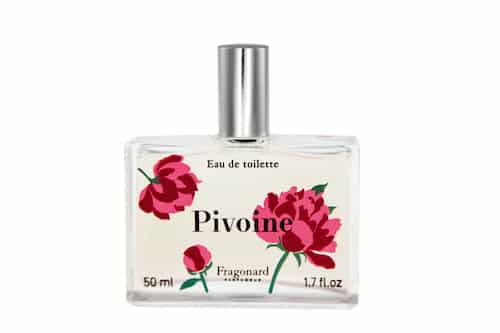 Peonia flor anual de Fragonard