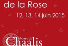 Rosas en exhibicion en Chaalis en junio
